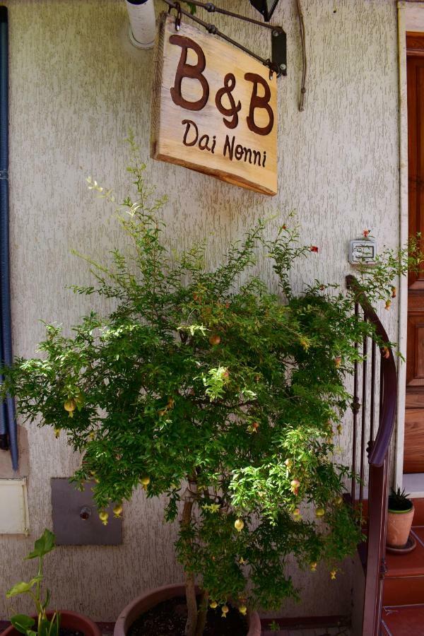 Dai Nonni, B&B A Киети Екстериор снимка